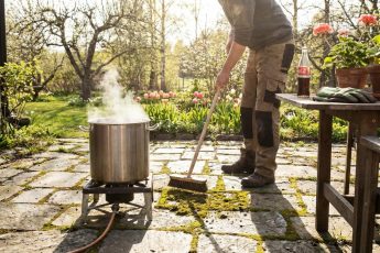 Kokvatten och cola befriar snabbt din tomt från mossa