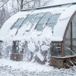 Gammalt trädgårdsknep för att omedelbart rensa växthuset från snö utan spade och maskiner